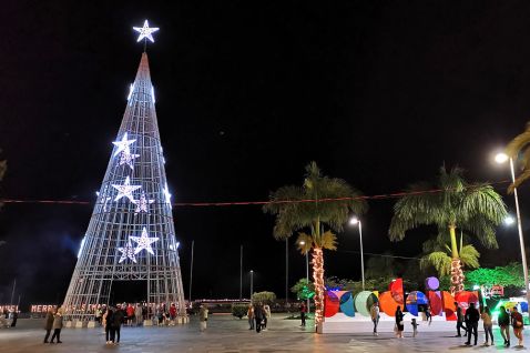 Kerstboom-in-Funchal