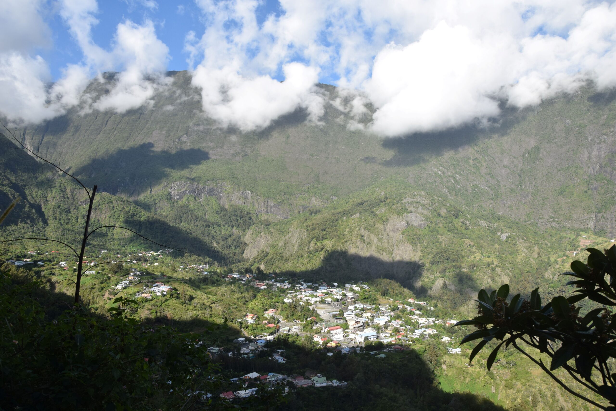 DSC_0880(1)